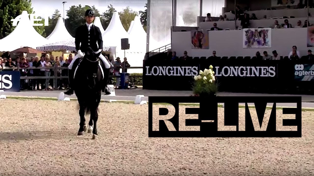 RE-LIVE | Dressage (6-yr-old horses) | Longines FEI/WBFSH World Breeding Dressage Championships 2019 horseshoe bend