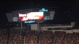 Bengals Fight Song Bengals Fight Song