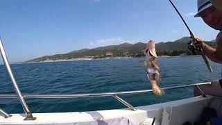 видео: Дайвинг рыбалка отпуск в Кабардинке картинка: Дайвинг рыбалка отпуск в Кабардинке