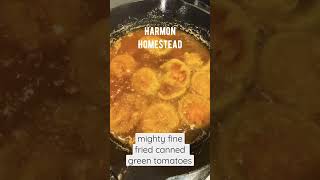 Fried CANNED Green Tomatoes Y’all! #canning #homesteading #fried #greentomato