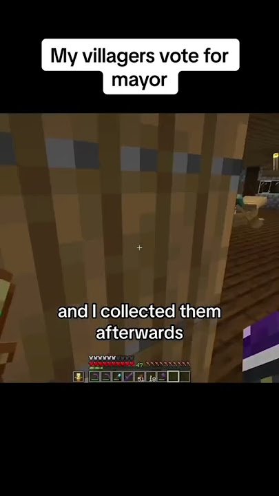 My Villagers Vote for Mayor 🌞 #minecraft #gaming