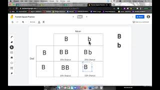 Punnett Square Worksheet 1 Help