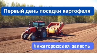 19 мая Первый день посадки картофеля.