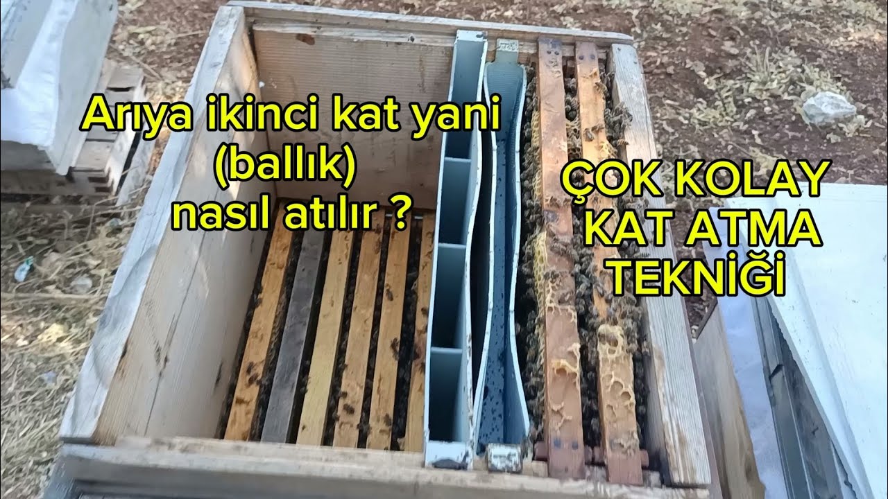 En kolay ve etkili kat atma tekniği #arıcılık #karakovan #beekeeping