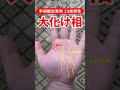 【手相実例】33歳男性、大化けする可能性を秘めた手相 #shorts #手相