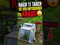 Experiment Teil 2 – Überraschendes Ergebnis
