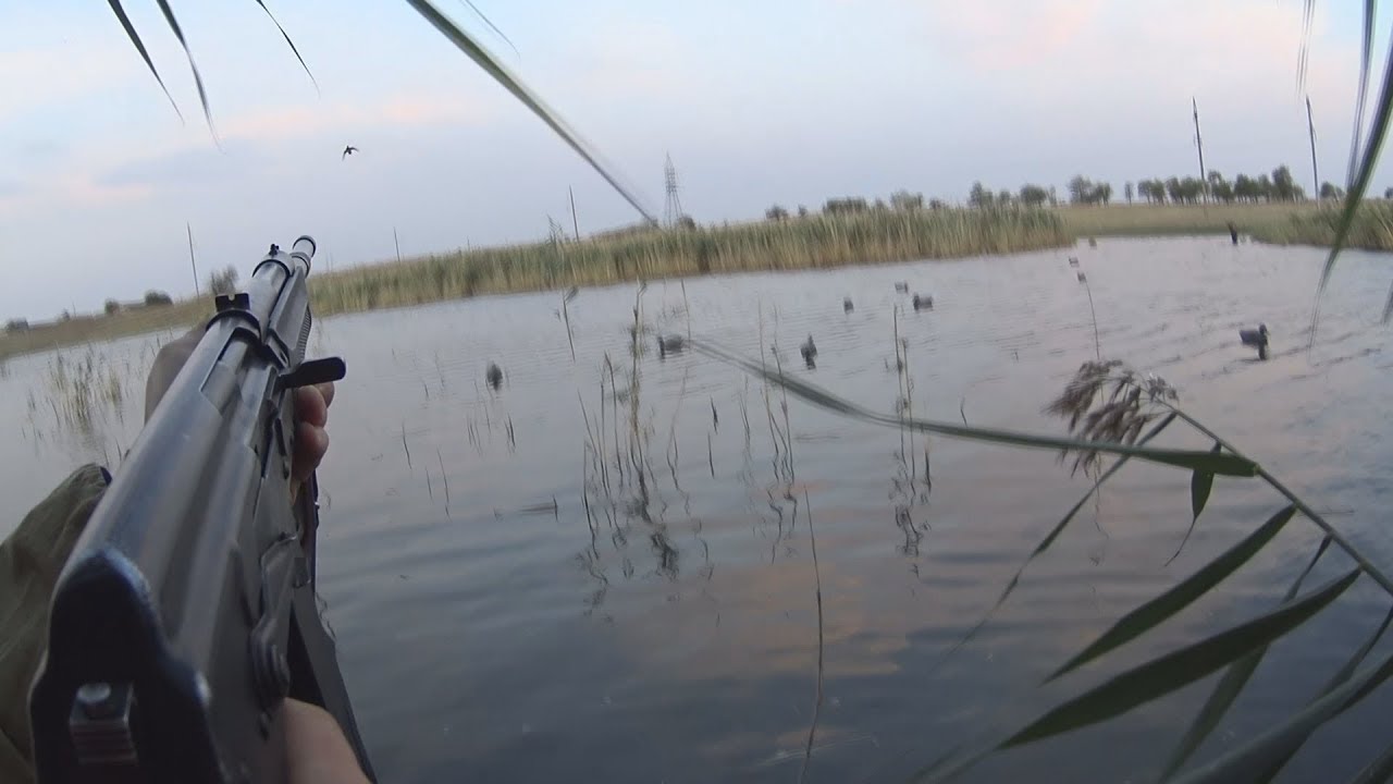 #1 Открытие охоты на водоплавающую дичь  23.09. 2017г