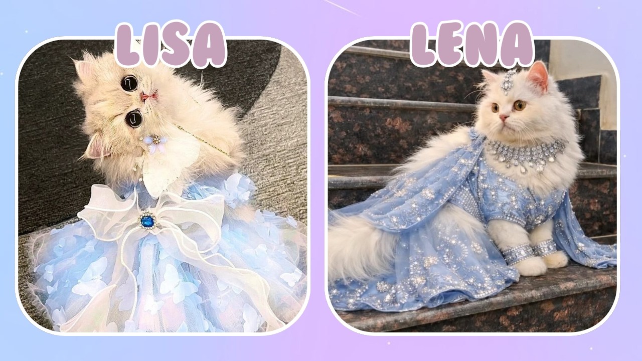 Лиза или Лена, милая версия #lisa #lena #lisaandlena #cute #trending