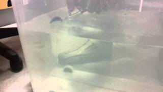 Initial propulsion test.mp4