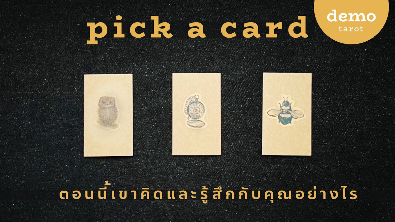 ตอนนี้เขาคิดและรู้สึกกับคุณอย่างไร 🤎🧸 : PICK A CARD