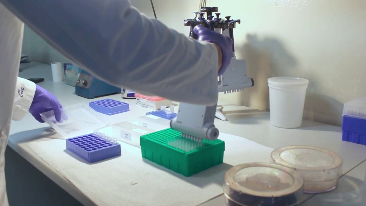 Zavod za biokemiju i molekularnu biologiju