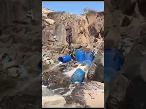 سيل من الخمور