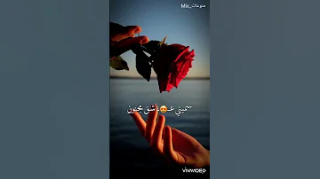سميني عاشق مجنون افضل نغمة رنين 