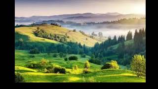 Download Lagu LAGU NSC TERBAIK MP3