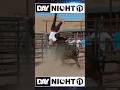 Чудаки и Джонни Ноксвиль Возвращаются? #daynighttv #чудаки #jackass #mtv #комедия #пранк #шоубиз