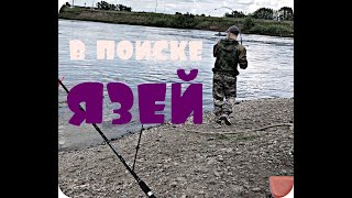 Рыбалка на реке Иня