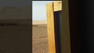 Туалет в пустыне Гоби
