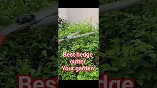 best hedge cutter your garden |#gardentools  #gardenequipment #shorts #shortvideo