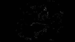 [Coding Projects] Boids