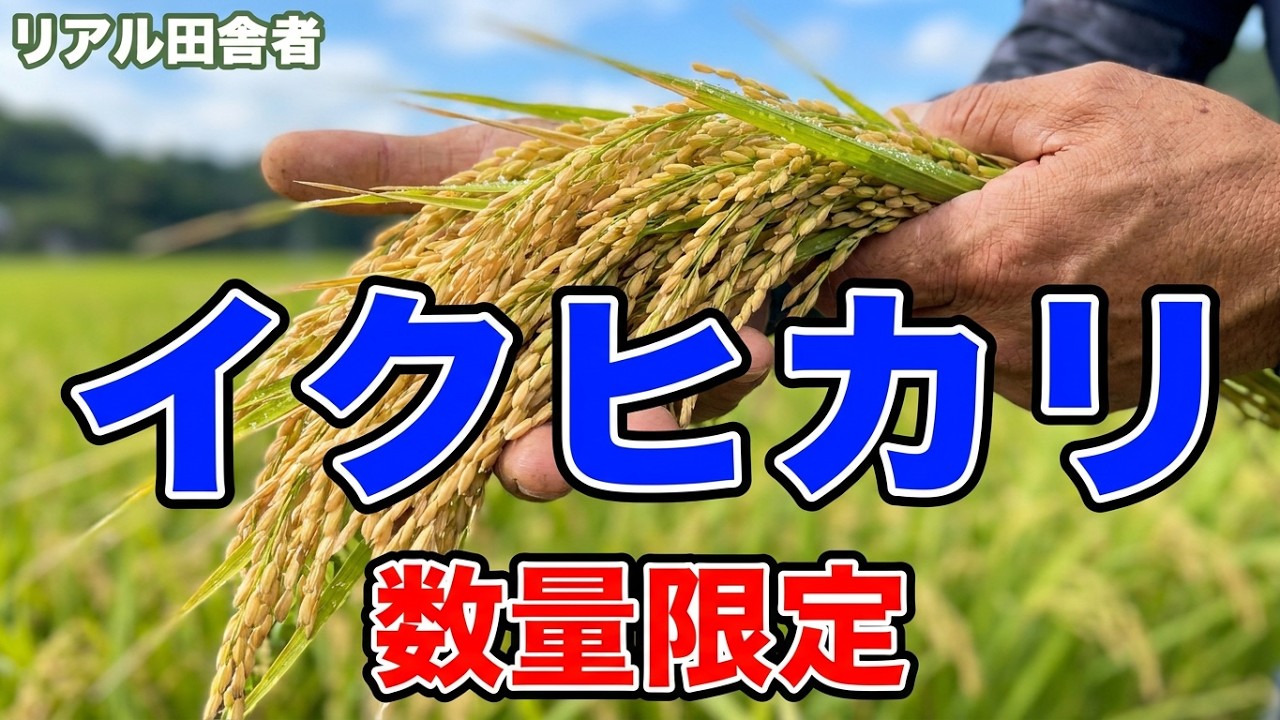 イクヒカリの予約受付開始します！