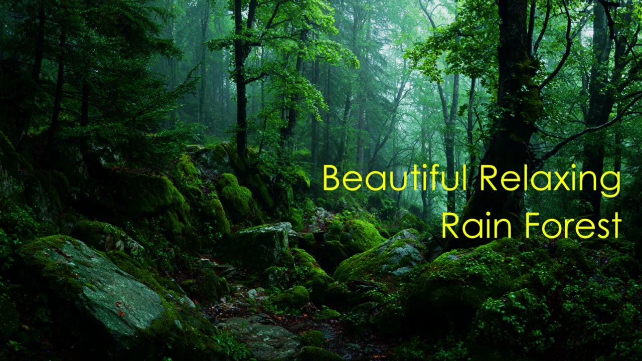 Full Music Harmony  Beautiful Relaxing Rain Forest No Vocal #instrumental #music #relaxing #rain
