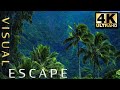 EPIC THUNDER & RAIN in Hawaii | Rainstorm Sounds For Relaxing, Focus or Sleep | White Noise 7 Hours