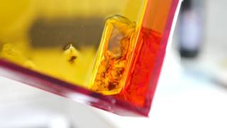 photocentric 3d printer failure