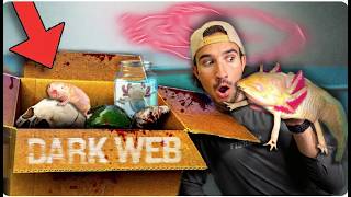 The Fish Guys Compilation | Ordering Haunted Axolotl Off The Dark Web...