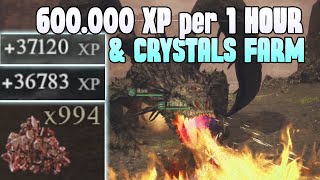 Dragon's Dogma 2 Fast Level Up (Wyrmslife Crystal Farm) Leveling LVL XP Farm Exp no Glitch & Exploit