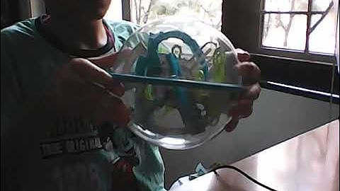 Perplexus Rookie 1-70 No Skips Personal Best 40.62s