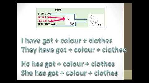 clothes unit wearing, have got, has got