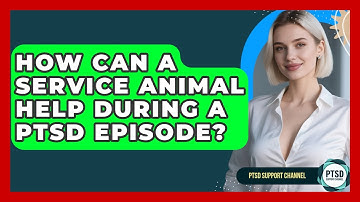 How Can A Service Animal Help During A PTSD Episode? - PTSD Support Channel