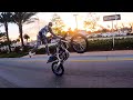 DER VATER VON WHEELIES