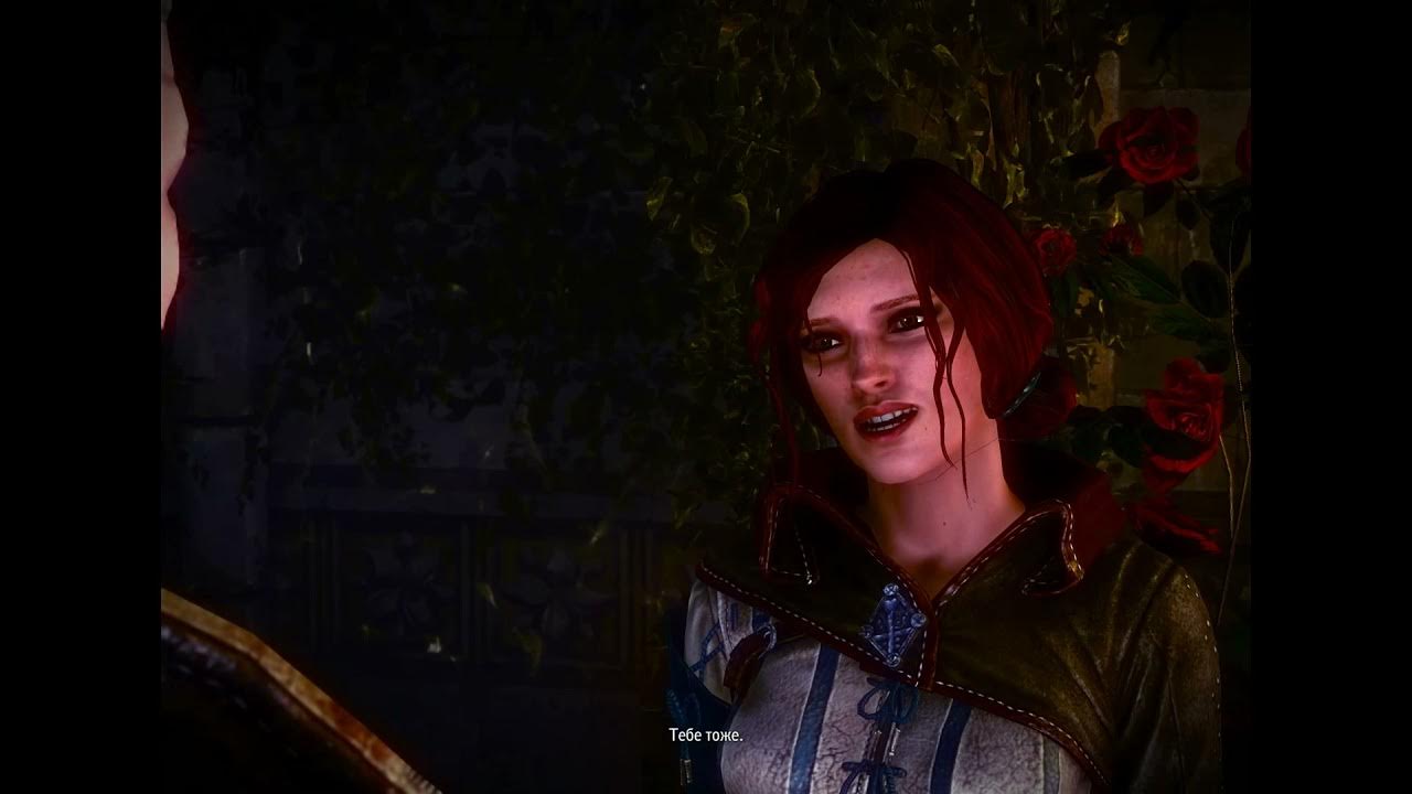 Ведьмак сцена. Ведьмак 3 дикая охота шани. Геральт трисс и йен. Ведьмак 2 сцена с трисс. Ведьмак сцена.