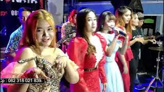 Hutang Pok Amai Amai Belalang Kupu Kupu All Artis Putra New Monata