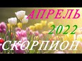 СКОРПИОН. ТАРО-ПРОГНОЗ на АПРЕЛЬ 2022г.