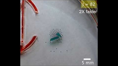 Collective formation and cooperative behavior of magnetic microrobot collectives