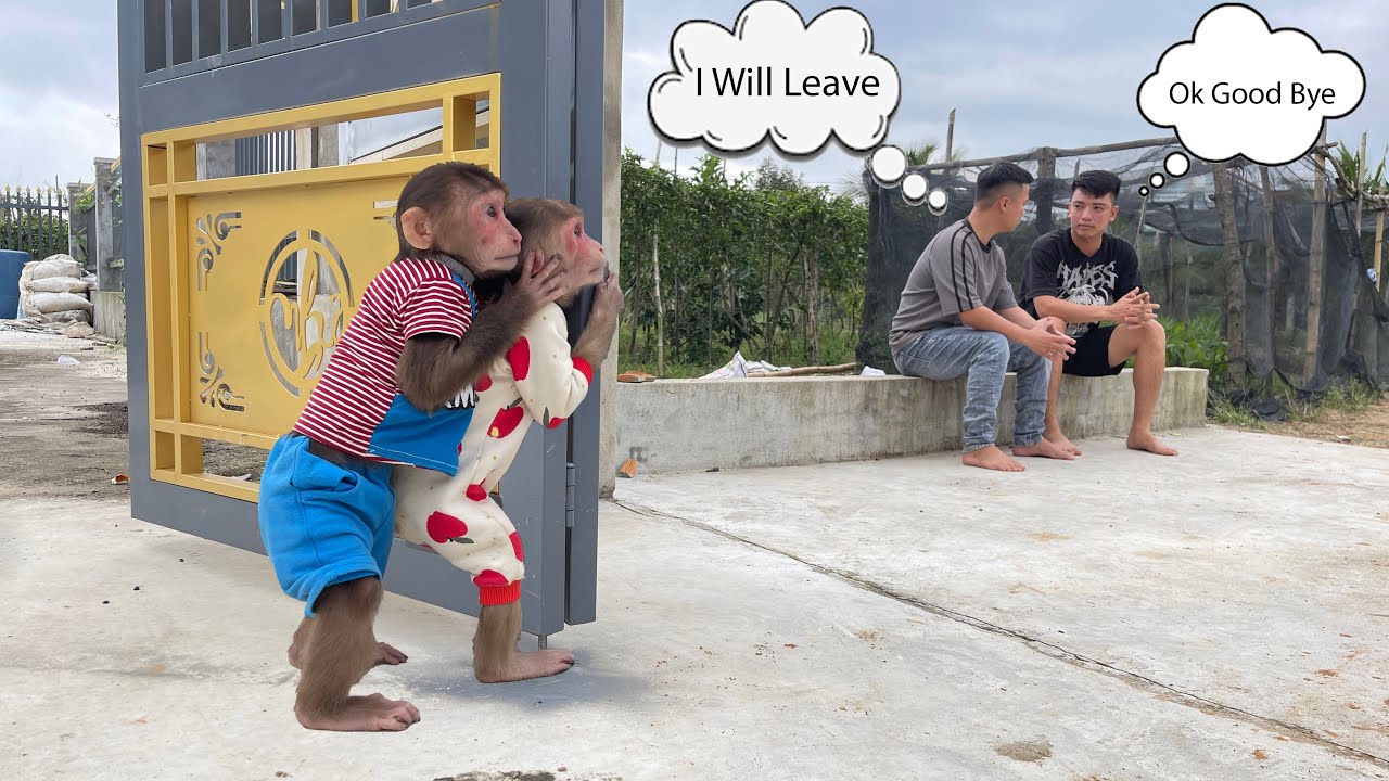 The Moment Cubis and Luk Accidentally Learn a BIG SECRET