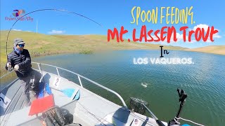 Spoon Feeding Mt. Lassen Trout in Los Vaqueros| Boat edition.