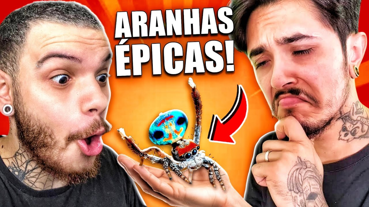 ARANHAS, O BICHO MAIS ESTRANHO E ÉPICO AO MESMO TEMPO - React O Canal do Pcini