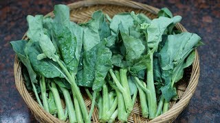 芥藍不要炒牛肉了，試試潮州特色菜頭粿炒芥藍做法，太美味了【潮州山哥】