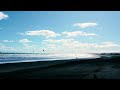 Kite Surfers at Muriwai Beach