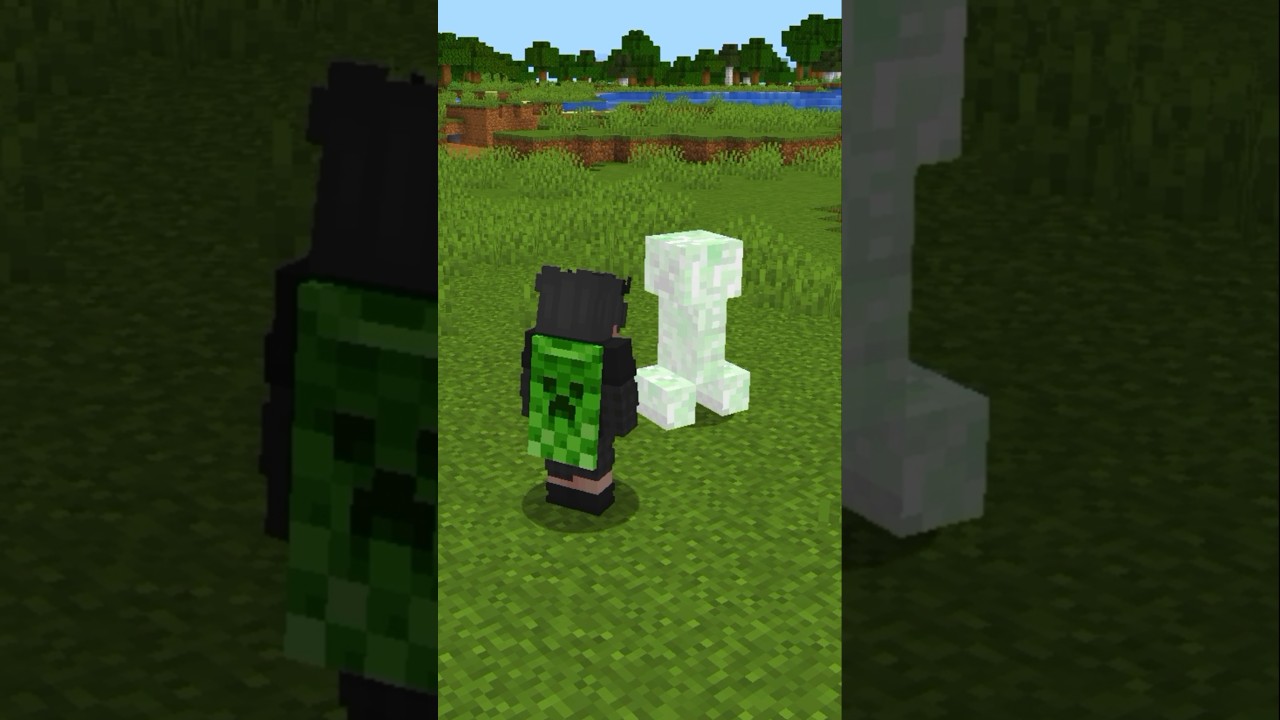 BLOQUEAR CUALQUIER GOLPE EN Minecraft