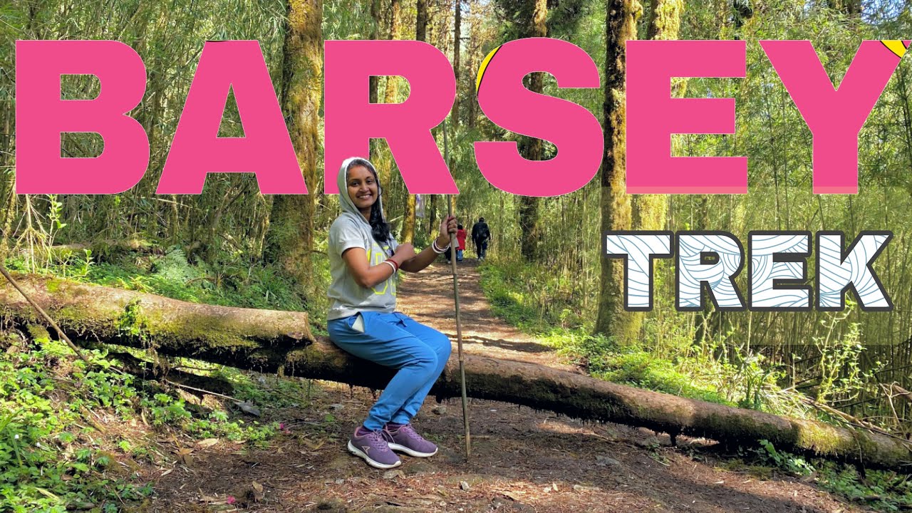 Hilley to Barsey Trek | Barsey Rhododendron Sanctuary | West Sikkim | Offbit Sikkim | Trek  | Sikkim