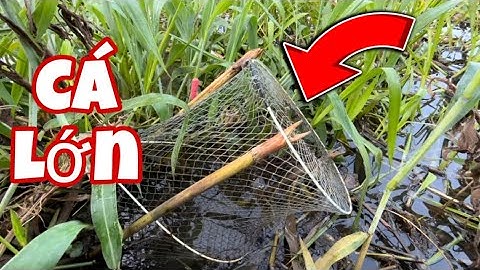 Thăm Lờ Cá Mà Thấy Lạ, Có Người Đặt Lờ Ngay Vị Trí Mình Đặt Trước