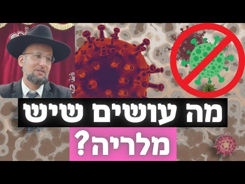 מה עושים שיש מלריה? ומעלת תה השיבה | "פינת הבריאות" מאת הגאון הרב יחזקאל צמח שליט"א