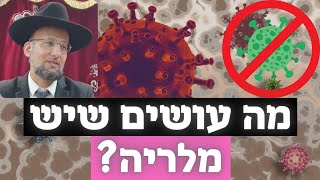 מה עושים שיש מלריה? ומעלת תה השיבה | "פינת הבריאות" מאת הגאון הרב יחזקאל צמח שליט"א