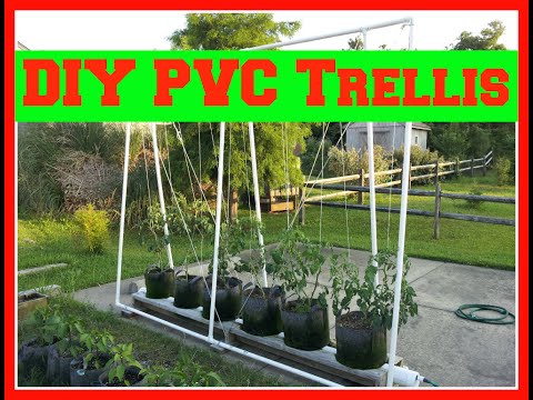 Пойыз жолсерігімен жыныстық қатынас