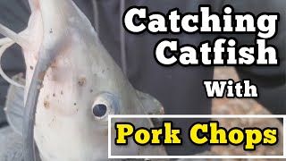 Catching Catfish With Pork Chops