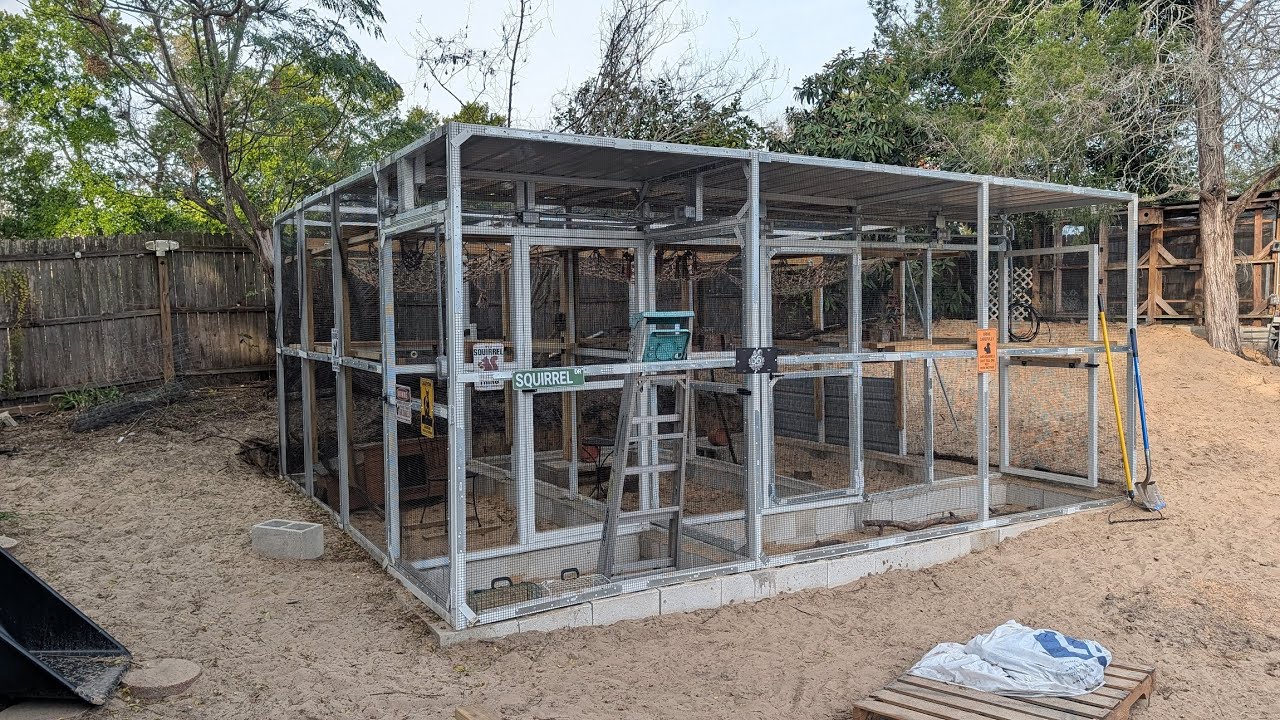 🔴 Live - The Enclosure